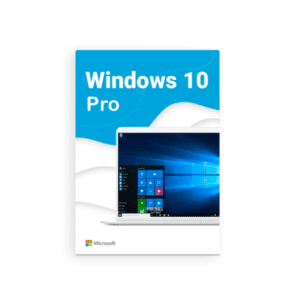 windows 10 professional