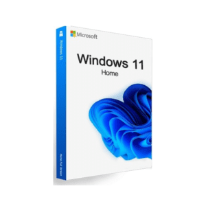 windows 11