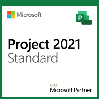 microsoft project 2021 standard