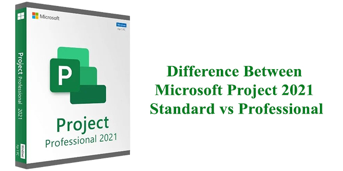 Difference Between Microsoft Project 2021 Standard vs Professional