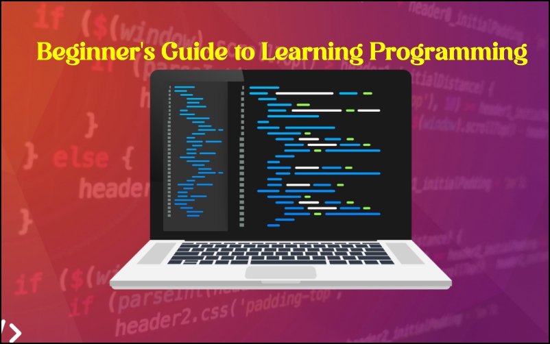 Beginner's Guide to Learning Programming